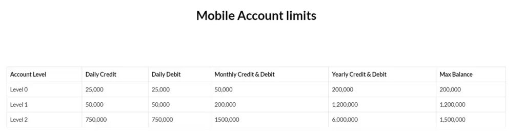 payoneer mobile account limit