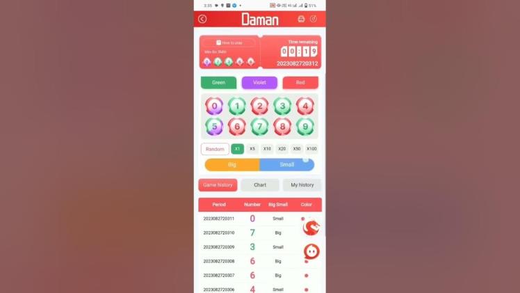 Daman Game Winning Numbers & Patterns