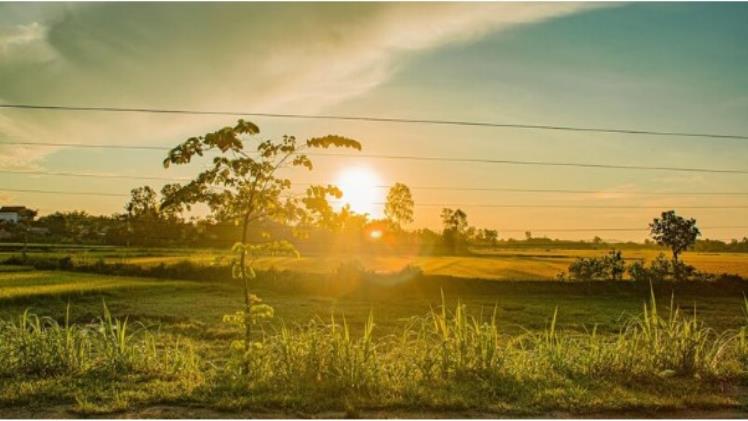 Backlit Photo- The Art of Using Light to Create Effects